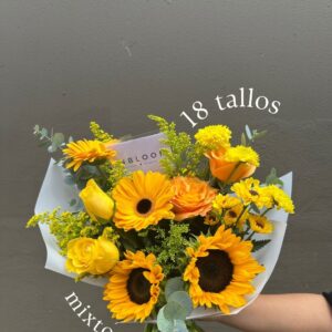 Ramo de 18 tallos mixtos